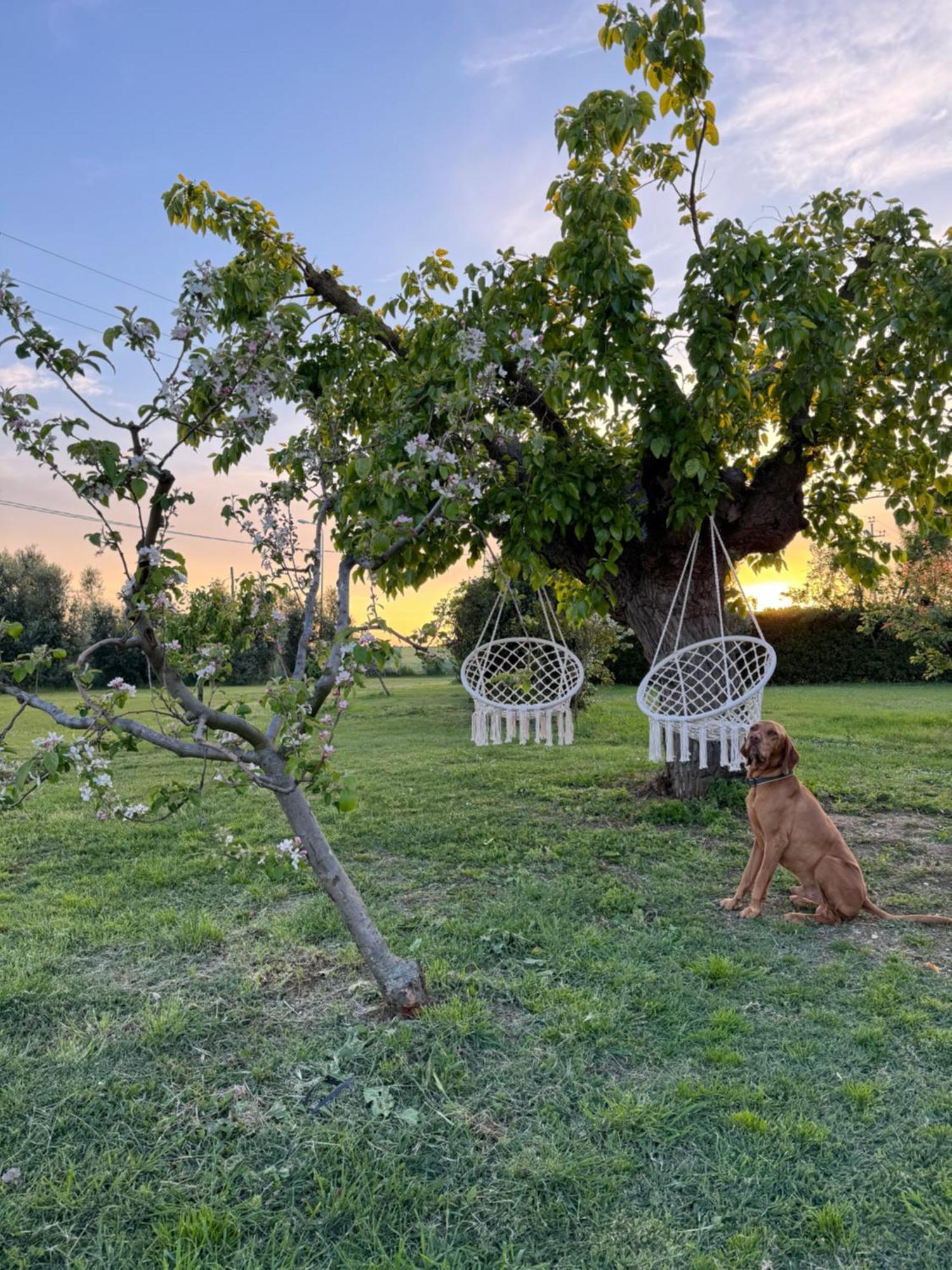 Agriturismo Le Grange Numana Exterior foto